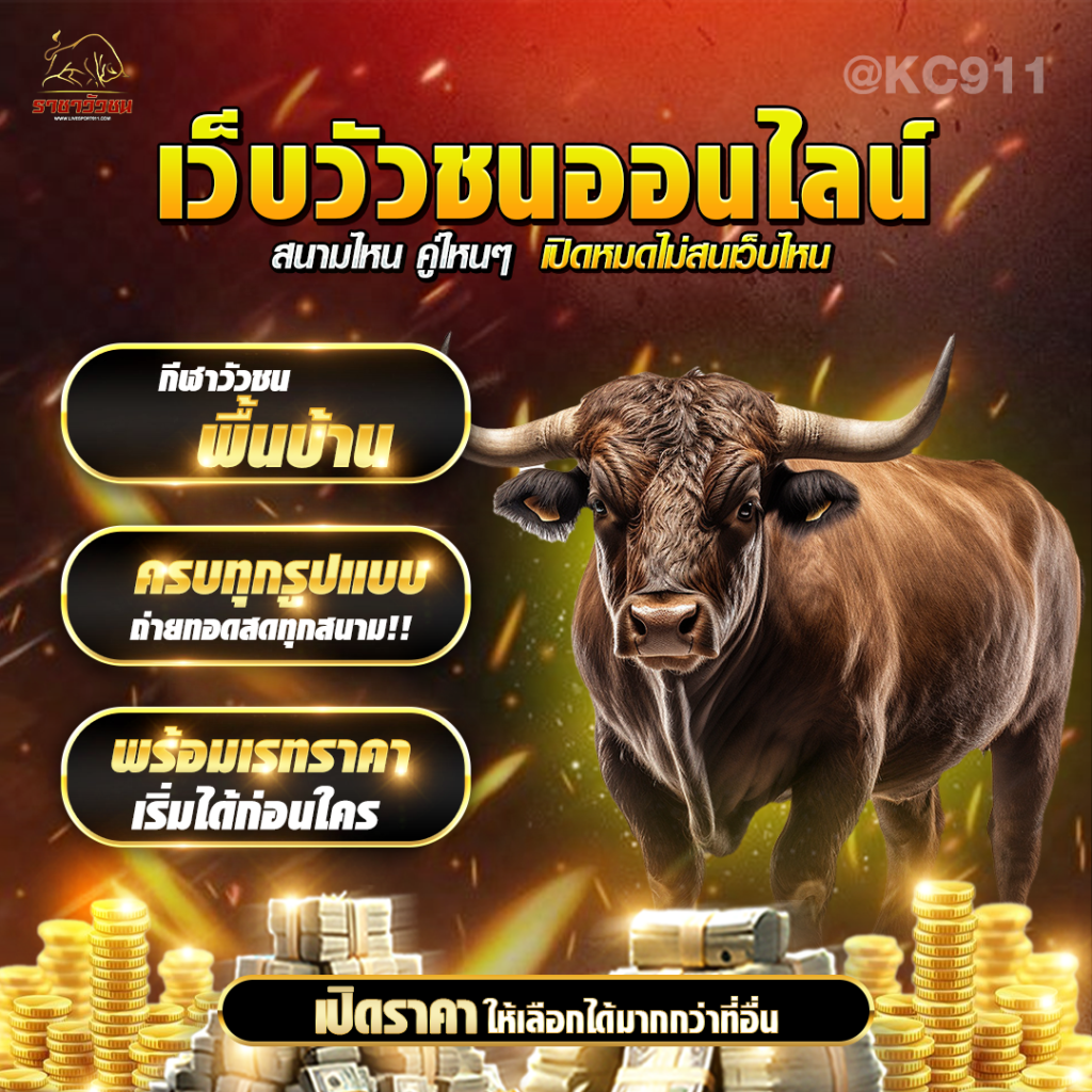 วัวชนมัมๆ