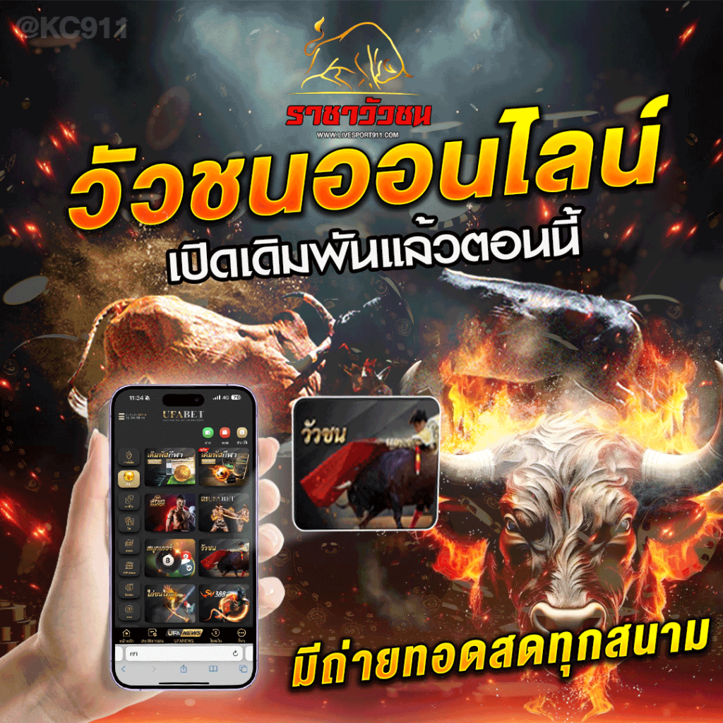 วัวชนออนไลน์