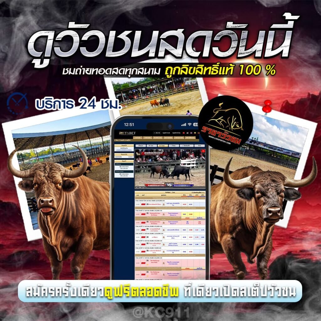 วัวชนออนไลน์ 25-6-67