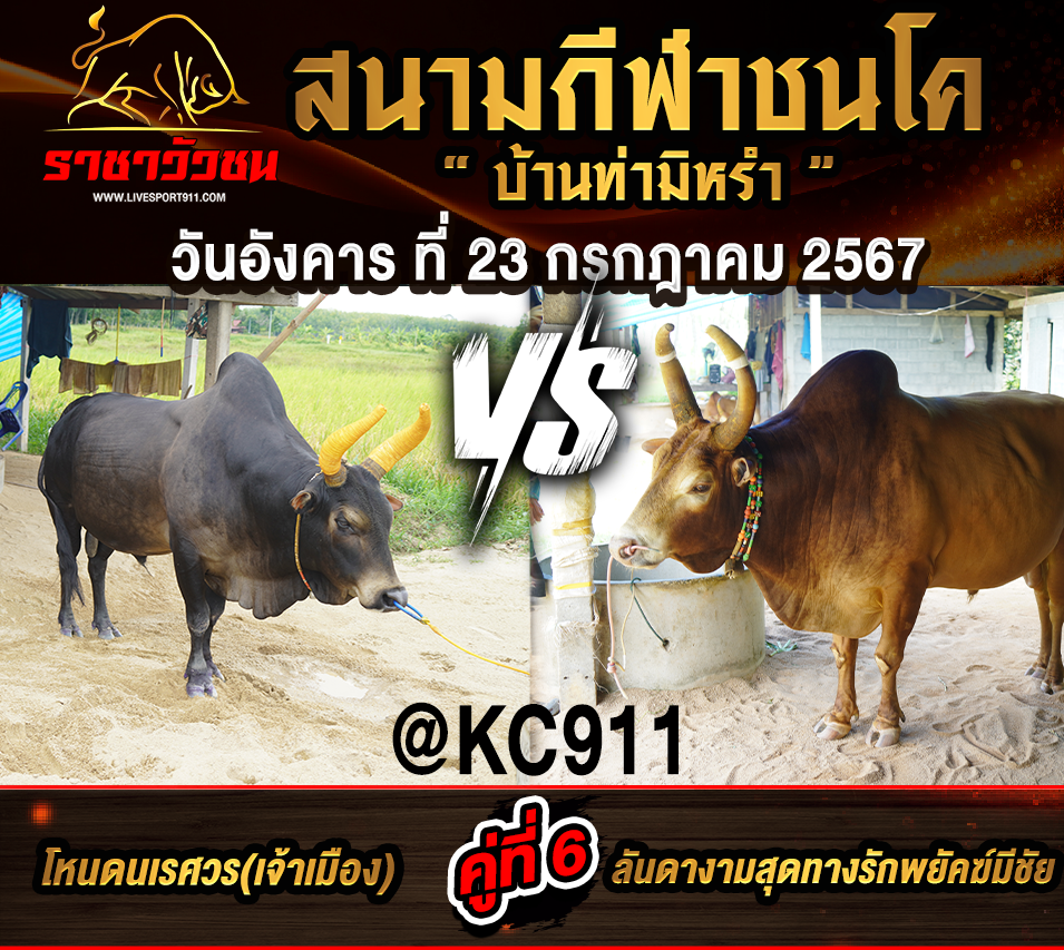 โปรแกรมวัวชน 23-7-2567