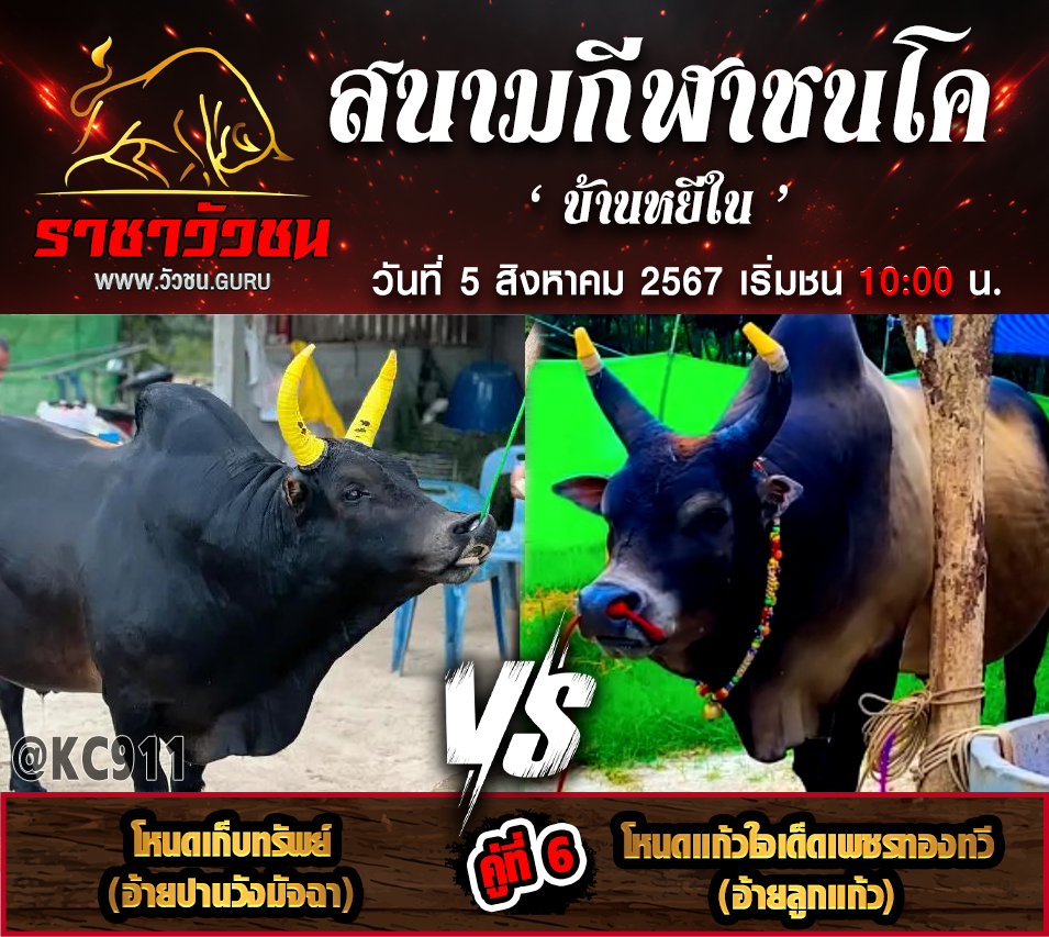 คลิปวัวชนย้อนหลัง วันที่ 5-8-2567