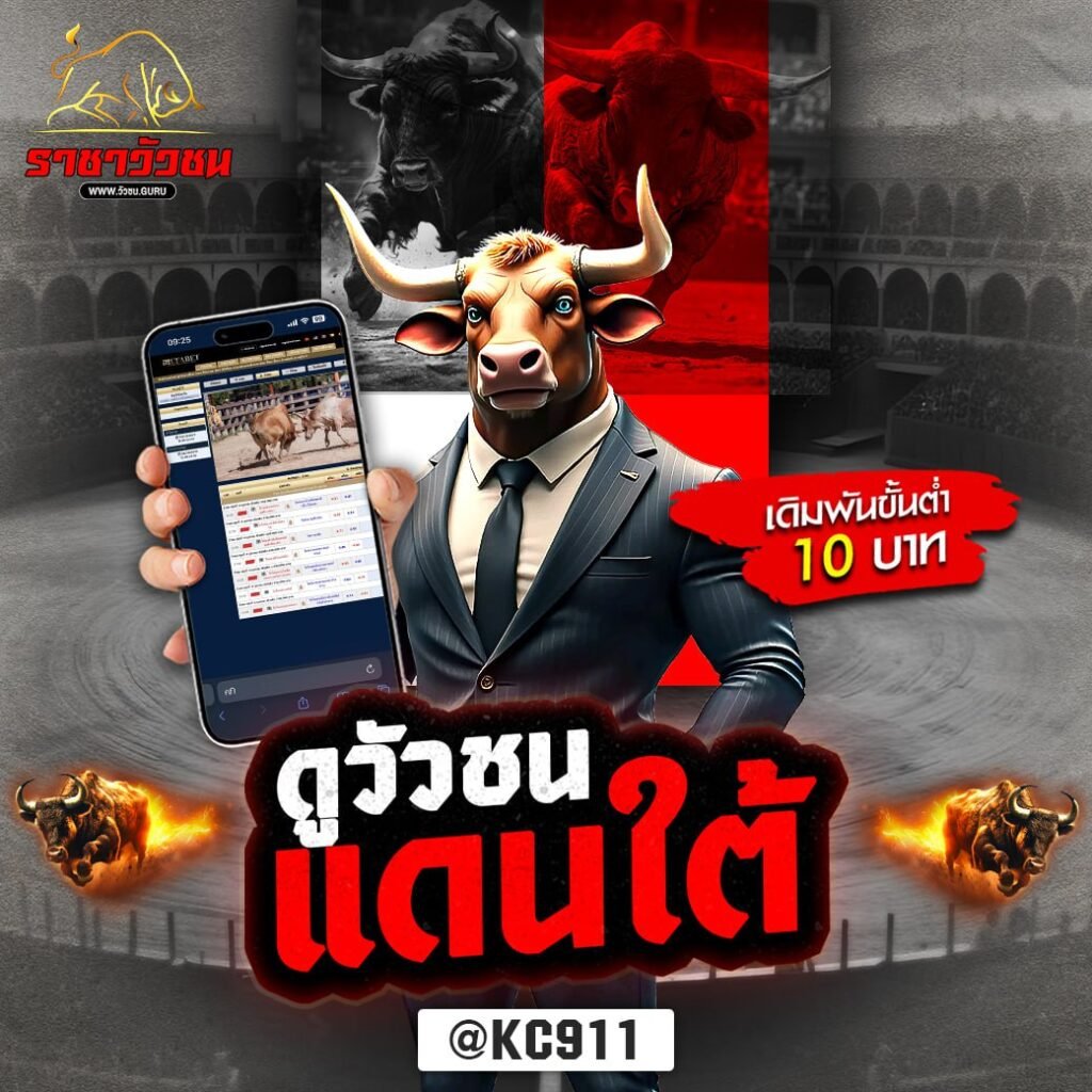 วัวชนออนไลน์ 27-10-2567