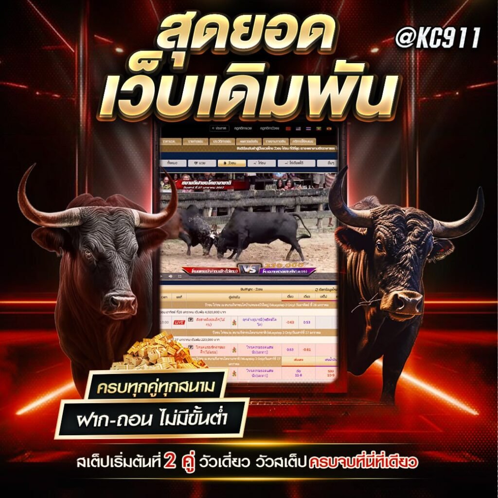 วัวชนออนไลน์ 21-10-2567
