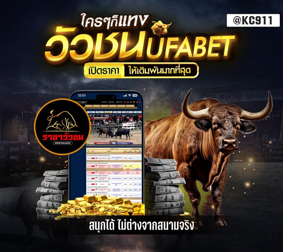 วัวชนออนไลน์ 2-11-2567