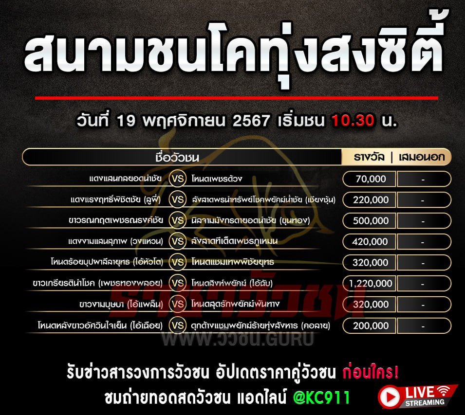 โปรแกรมวัวชน 19-11-2567
