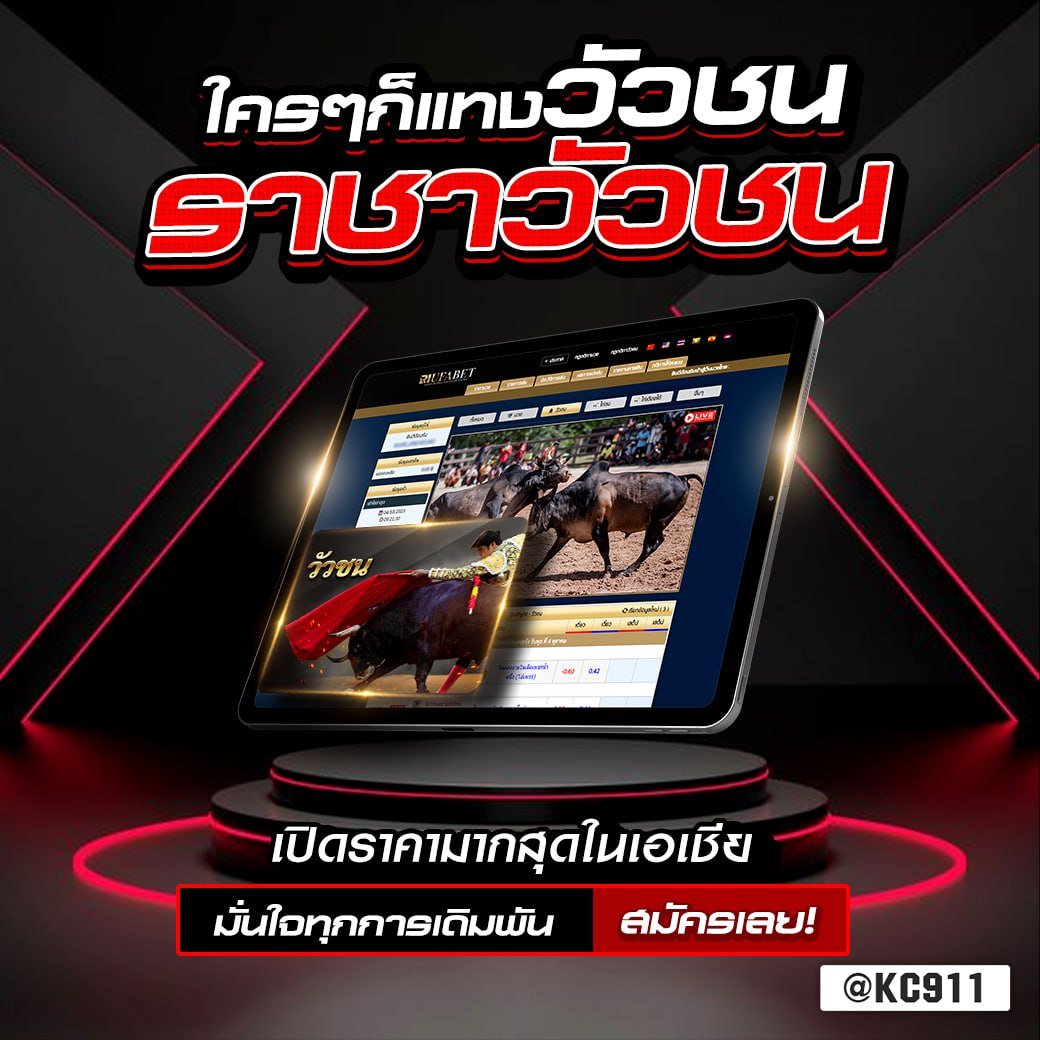 วัวชนออนไลน์ 4-01-2567