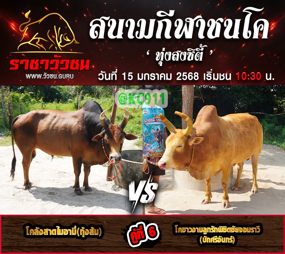 โปรแกรมวัวชน 15-1-2568