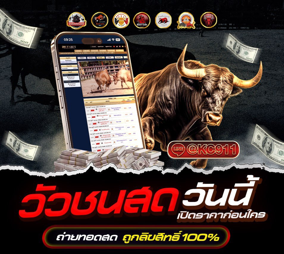 วัวชนออนไลน์ 13-02-2568