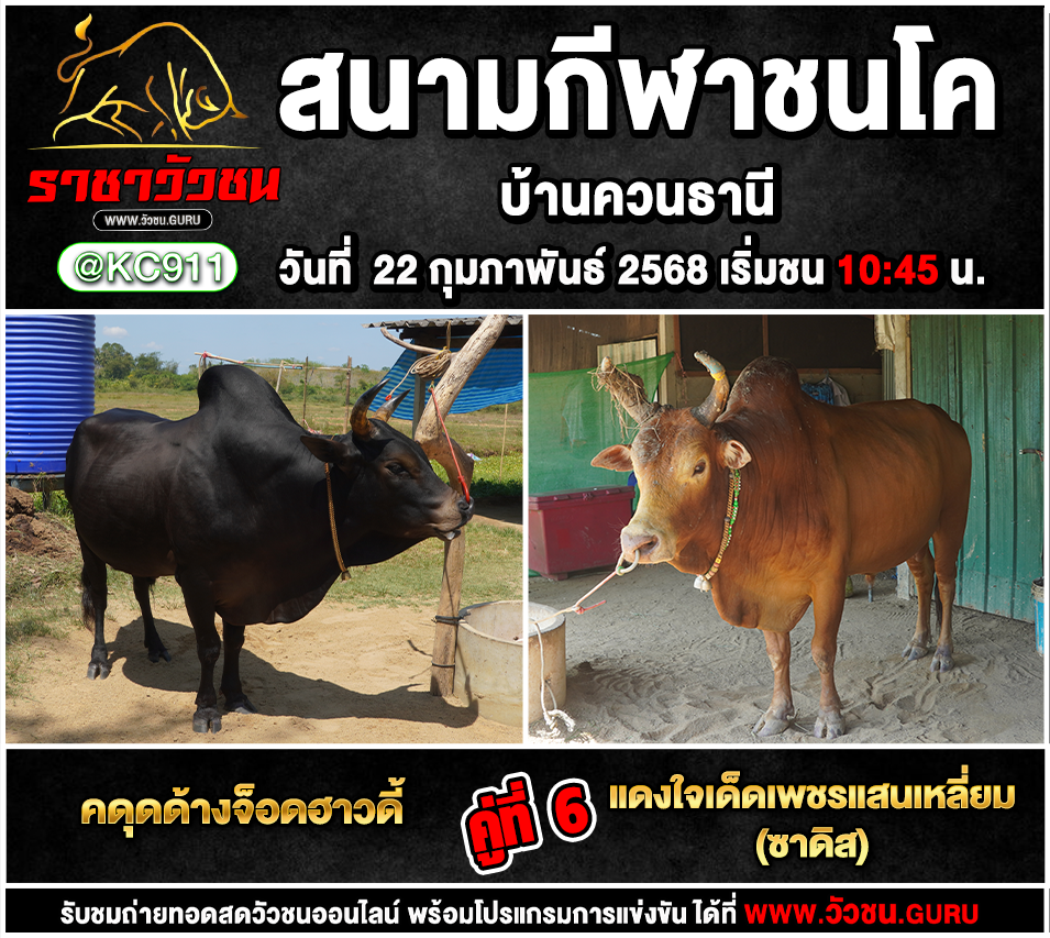 โปรแกรมวัวชน 22-2-2568