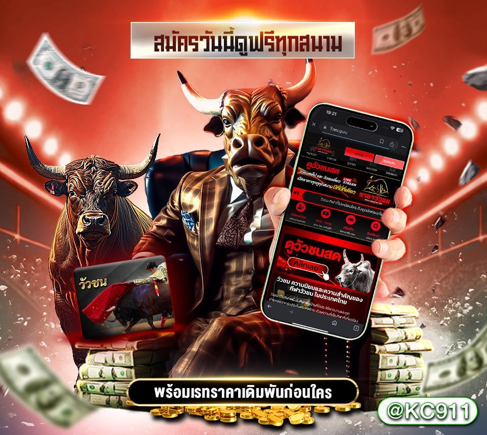 วัวชนออนไลน์ 17-4-2568