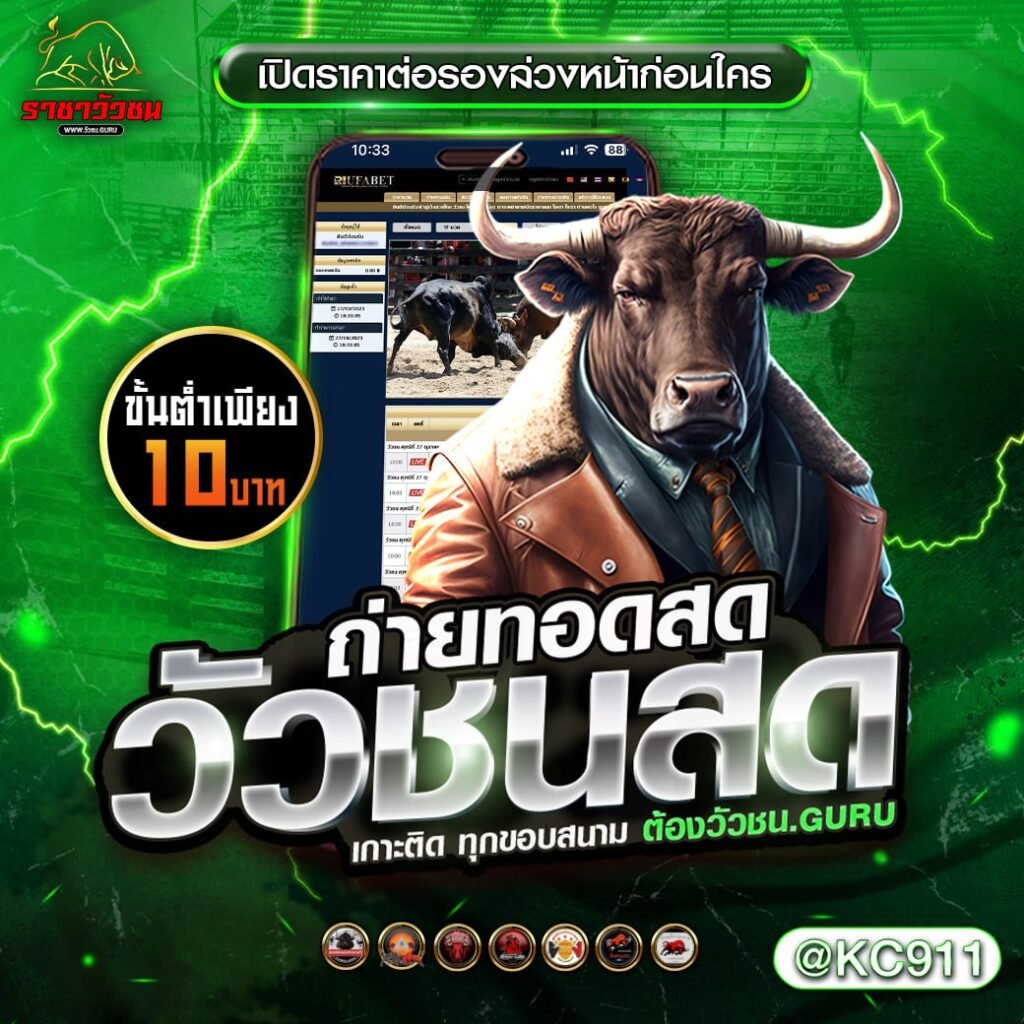 วัวชนออนไลน์ 31-03-2568