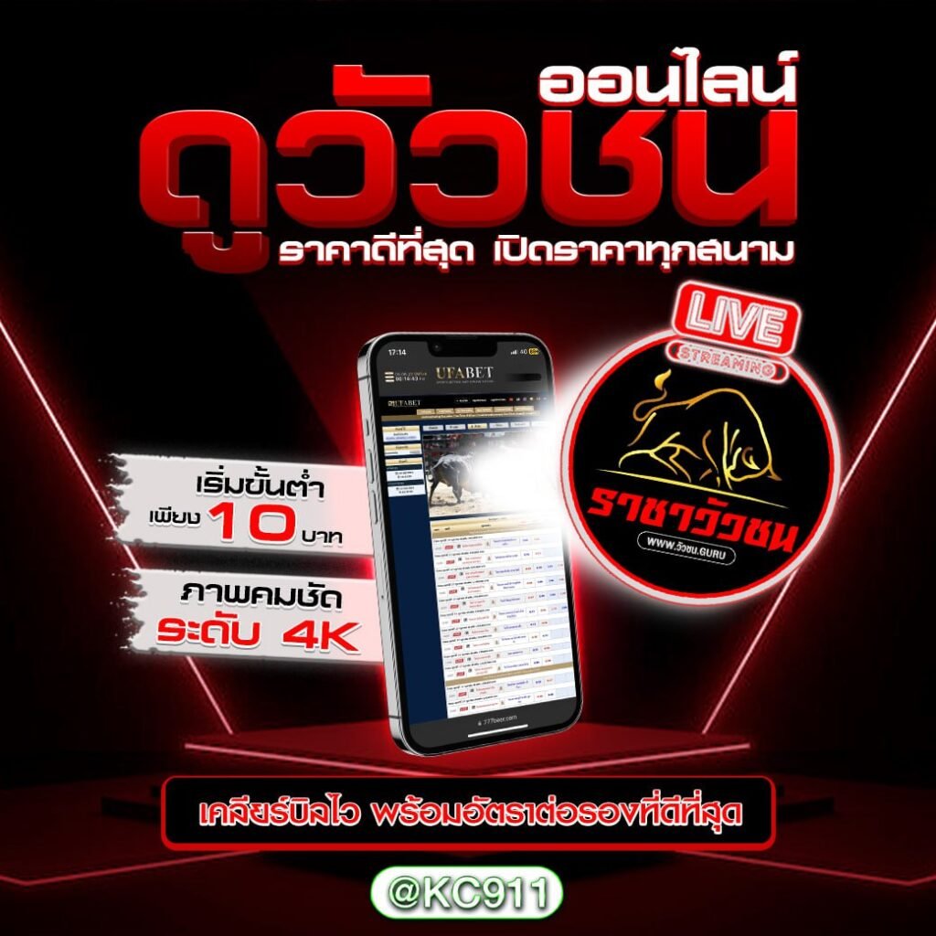 วัวชนออนไลน์ 28-04-2568