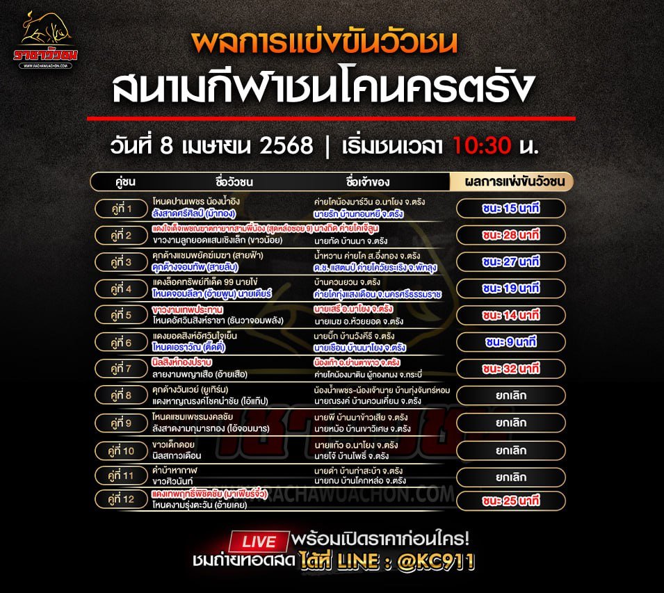 สรุปผลการแข่งขันวัวชน 8-4-2568