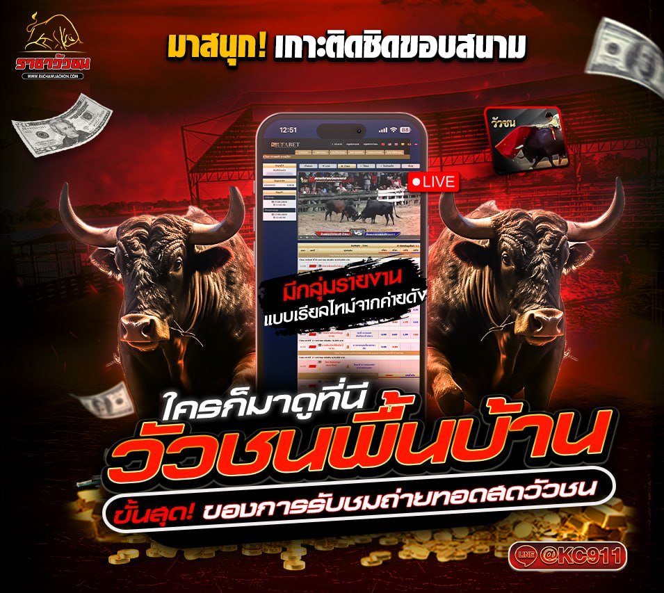 วัวชนออนไลน์ 13-04-2568