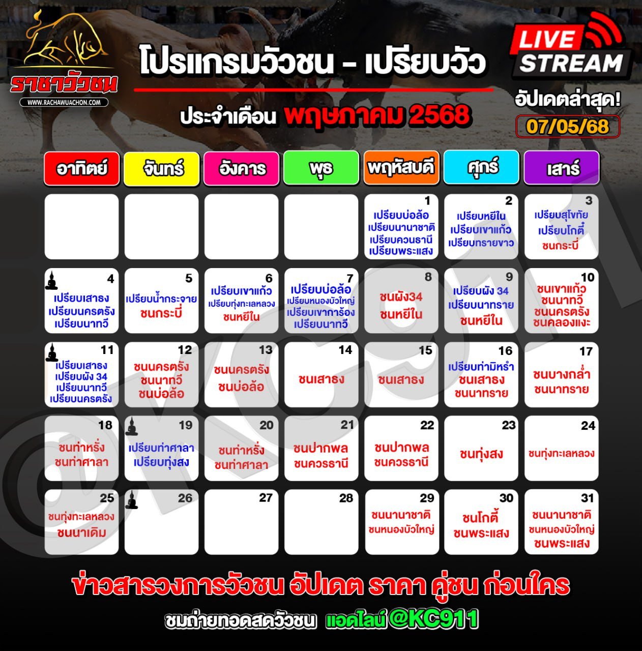 โปรแกรมวัวชน