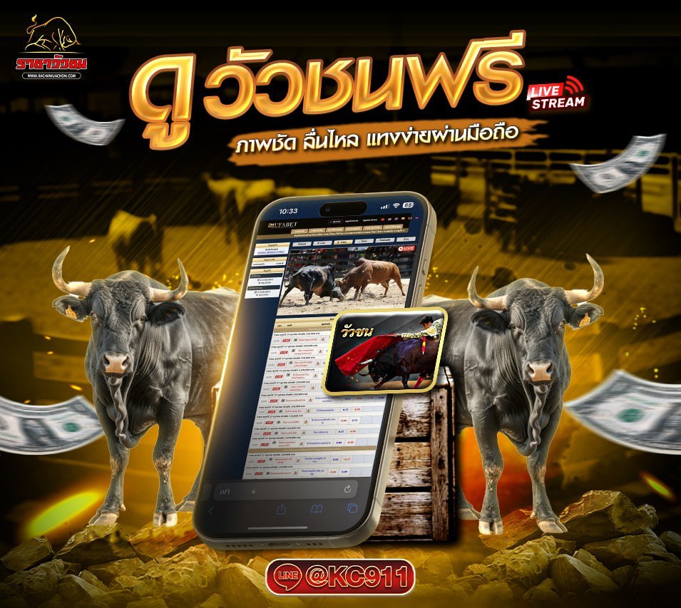 วัวชนออนไลน์ 22-5-2568