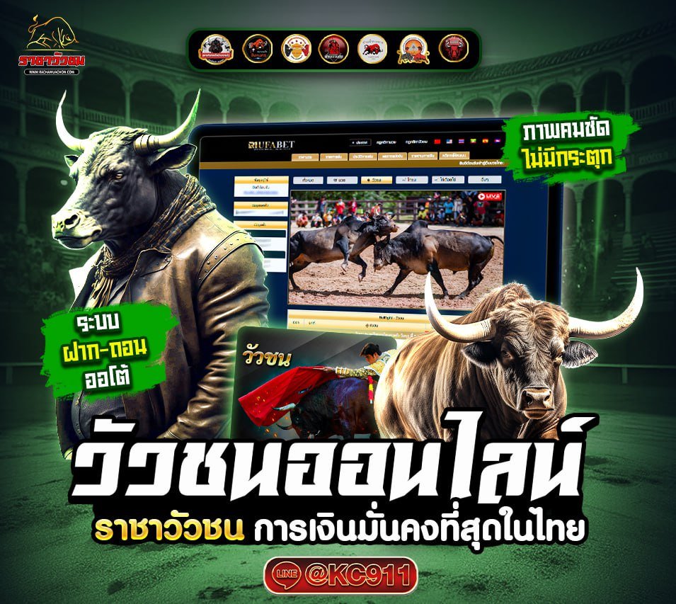 วัวชนออนไลน์ 16-6-2568