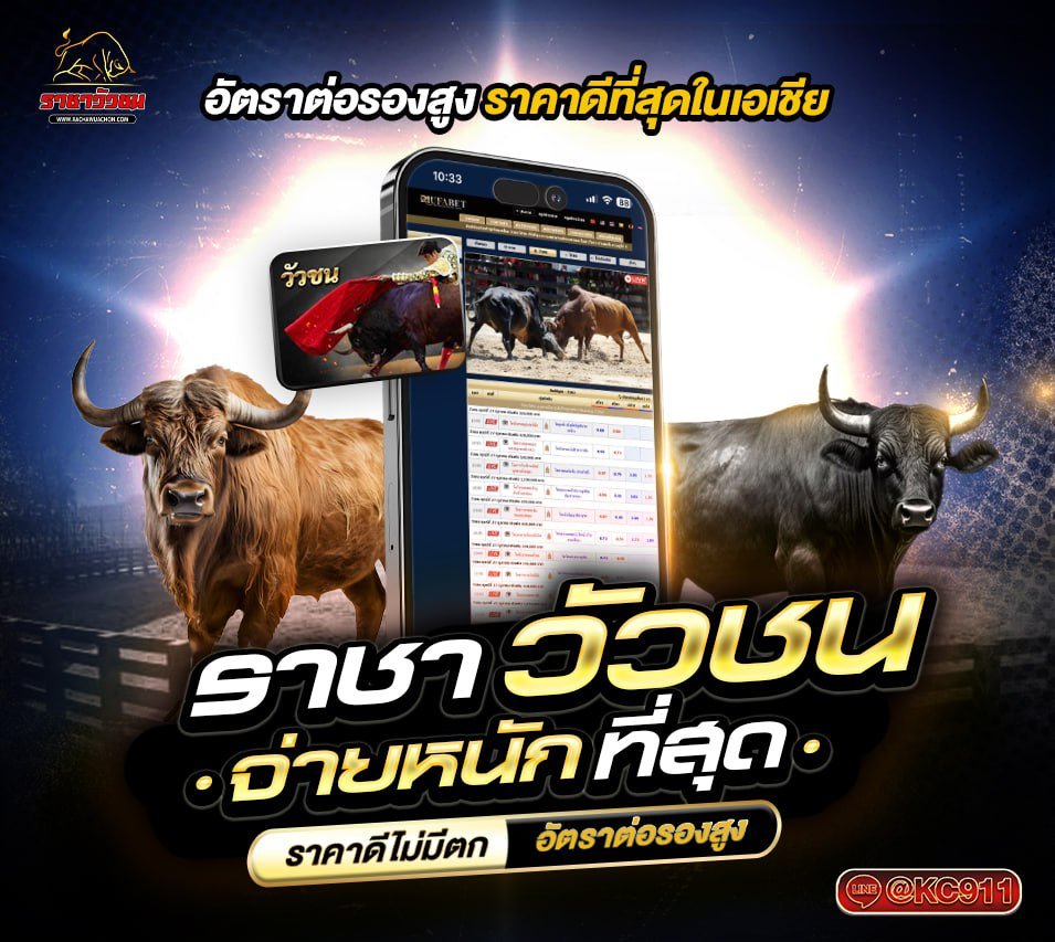 วัวชนออนไลน์ 28-6-2568