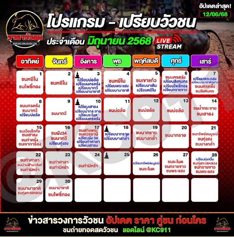 โปรแกรมวัวชนวันนี้