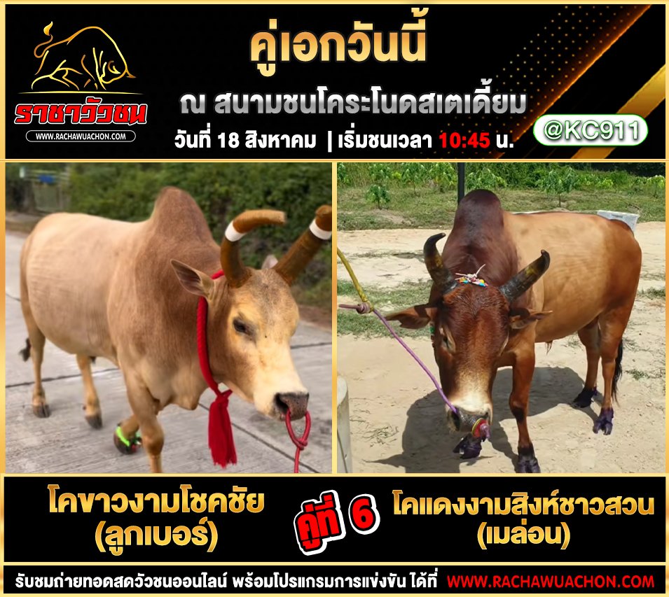 โปรแกรมวัวชนวันนี้ 18-8-2568