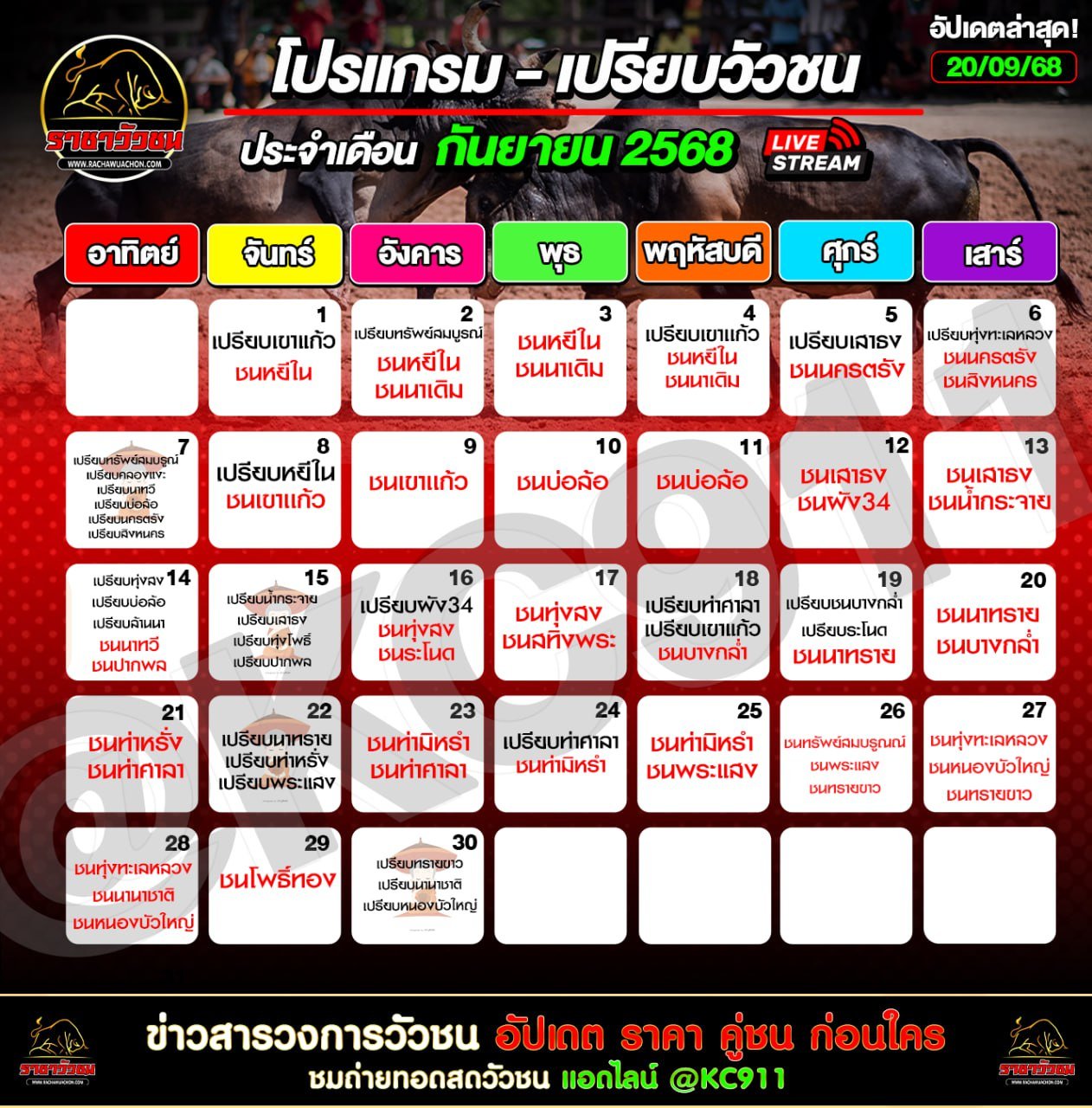 โปรแกรมวัวชนวันนี้