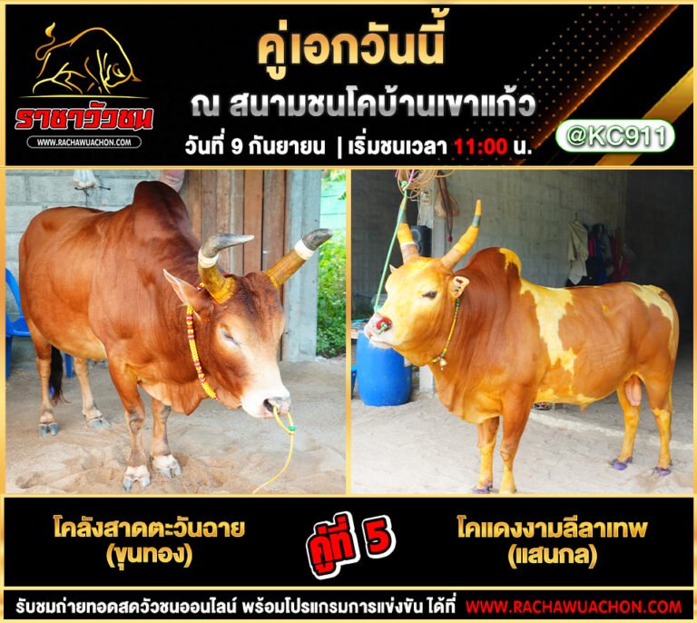 โปรแกรมวัวชนวันนี้ 9-9-2568