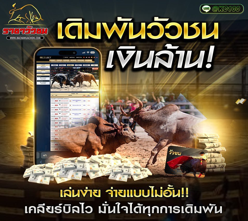 วัวชนวันนี้ 30-10-2568