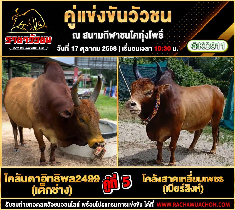 โปรแกรมวัวชนวันนี้ 17-10-2568