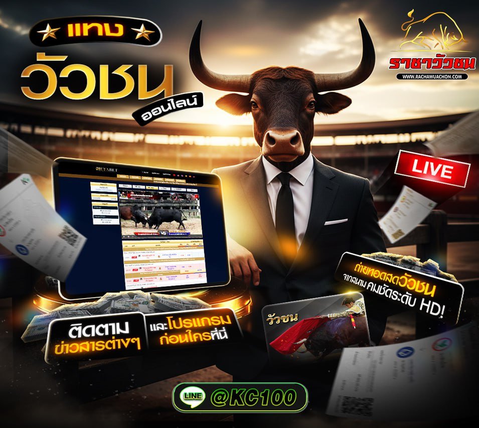 วัวชนวันนี้ 6-11-2568