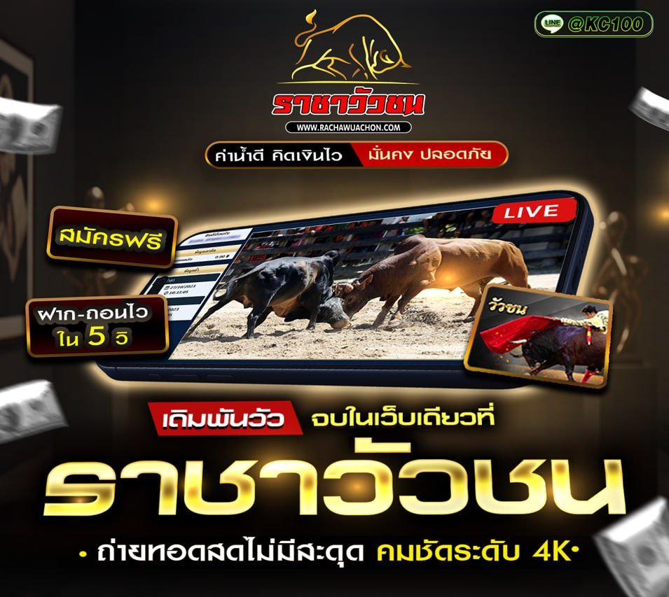 วัวชนวันนี้ 16-11-2568