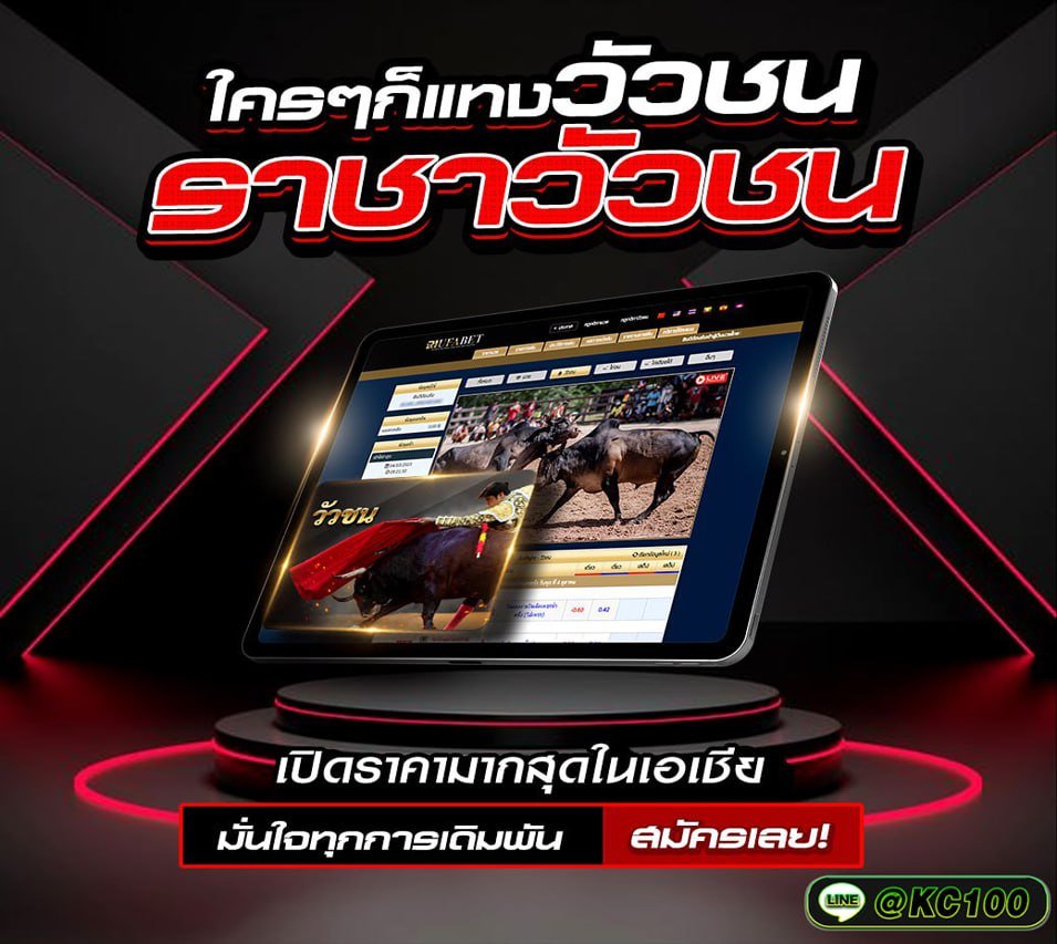 วัวชนวันนี้ 18-11-2568