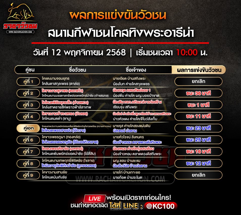 ผลวัวชน 12-11-2568