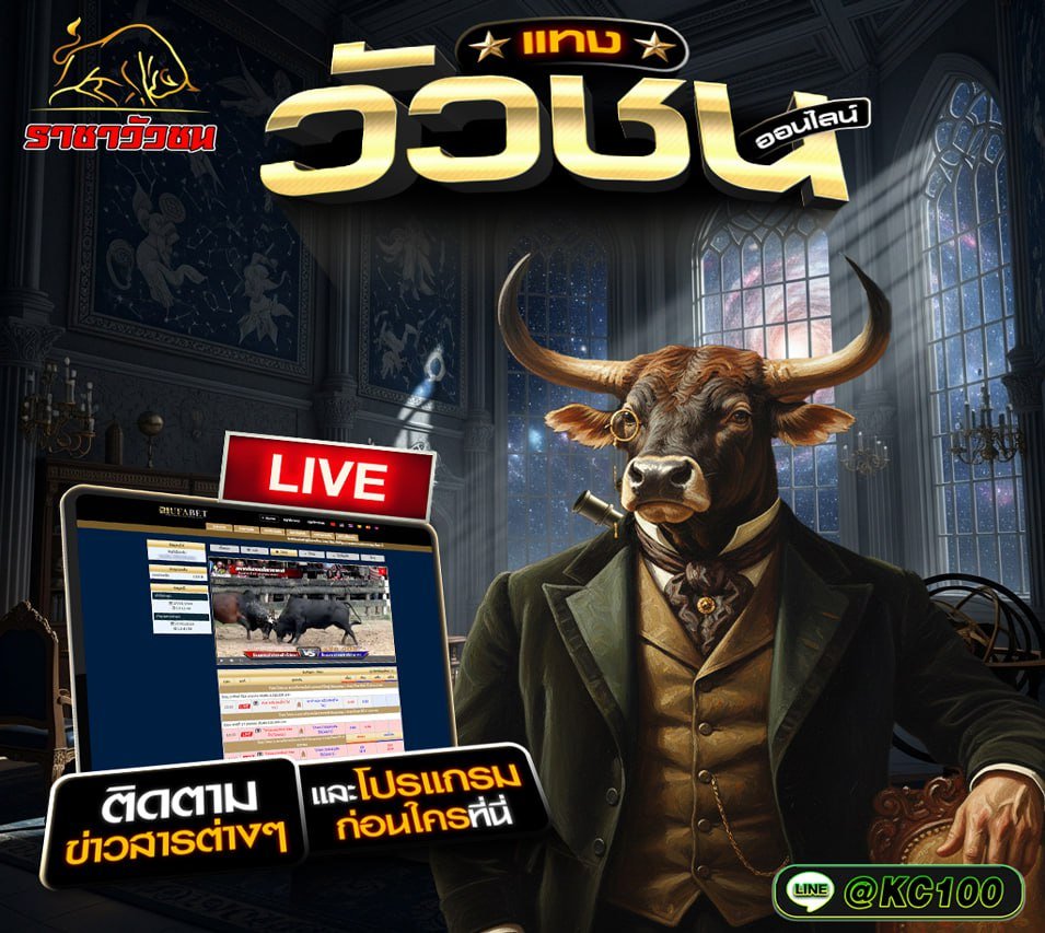 วัวชนวันนี้ 21-12-2568