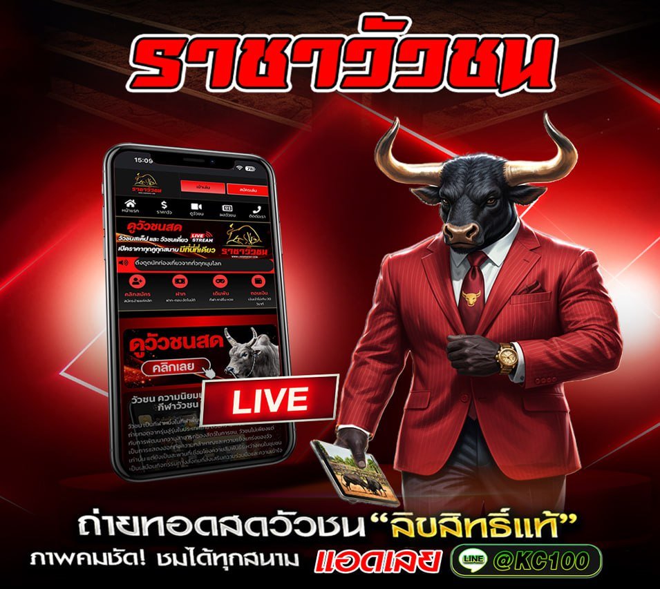 วัวชนวันนี้ 16-12-2568