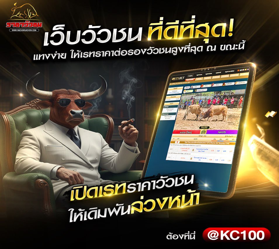 วัวชนวันนี้ 23-12-2568