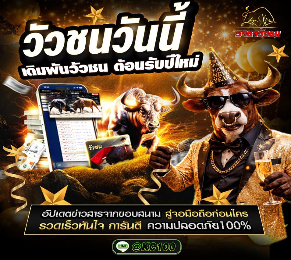 วัวชนวันนี้ 31-12-2568