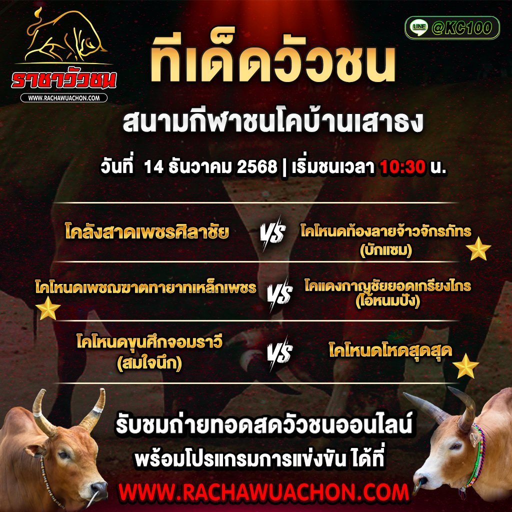 ทีเด็ดวัวชนวันนี้ 14-12-2568