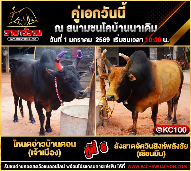 โปรแกรมวัวชนพรุ่งนี้ 1-1-2569