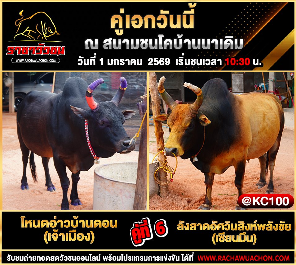 โปรแกรมวัวชนพรุ่งนี้ 1-1-2569