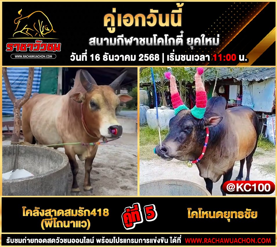 โปรแกรมวัวชนพรุ่งนี้ 16-12-2568