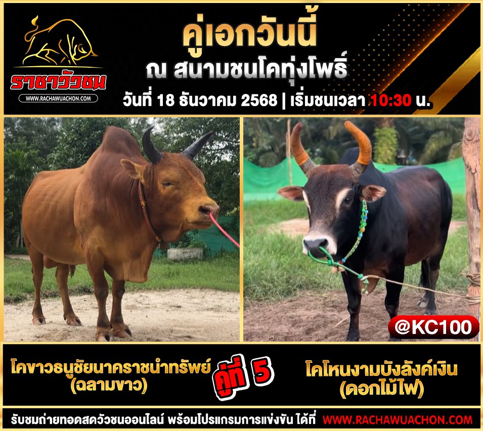โปรแกรมวัวชนพรุ่งนี้ 18-12-2568