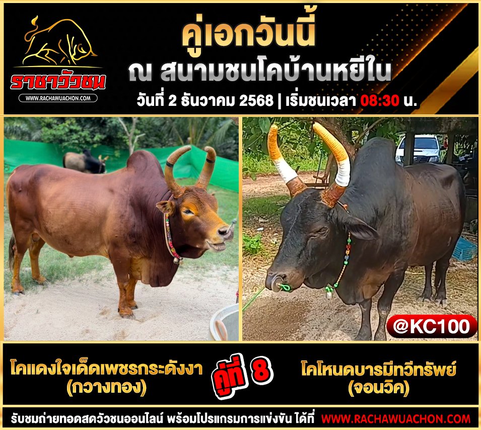 โปรแกรมวัวชนวันนี้ 2-12-2568
