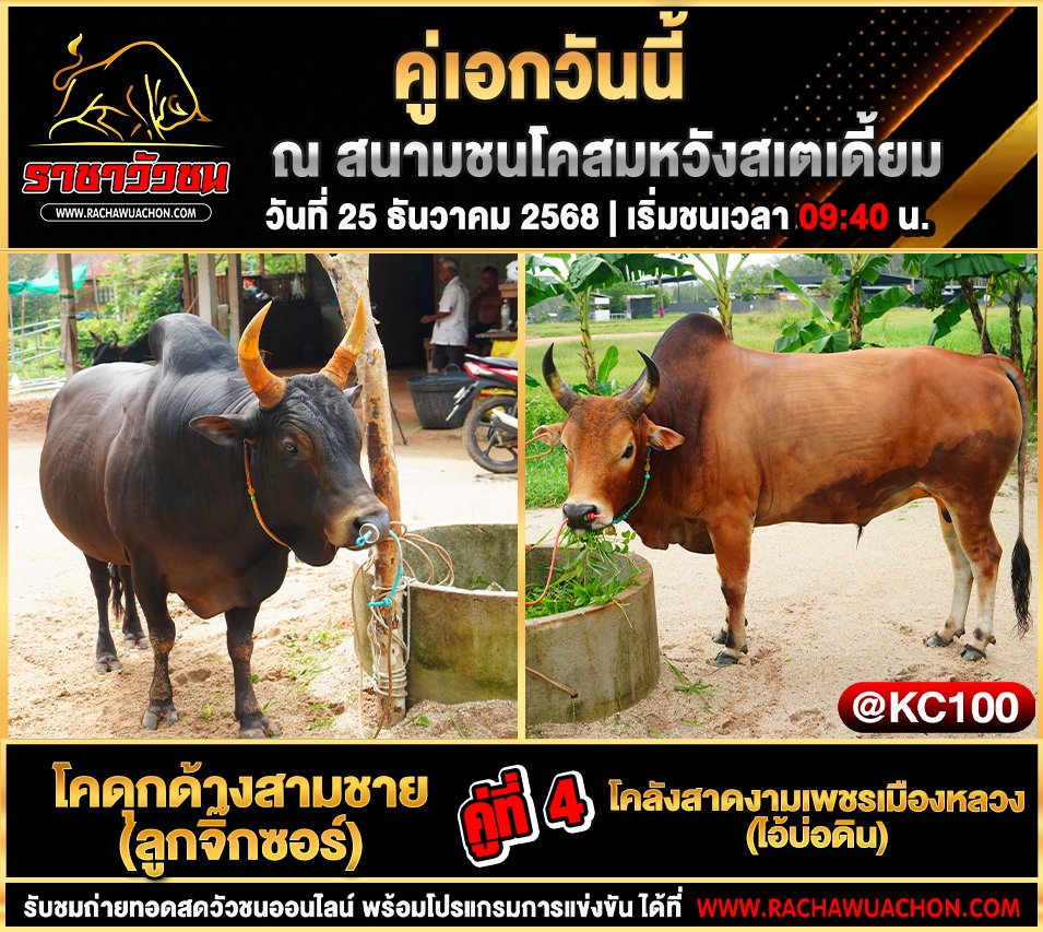 โปรแกรมวัวชนพรุ่งนี้ 25-12-2568