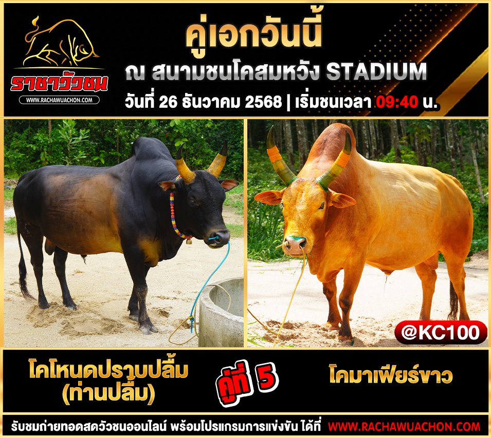 โปรแกรมวัวชนพรุ่งนี้ 26-12-2568