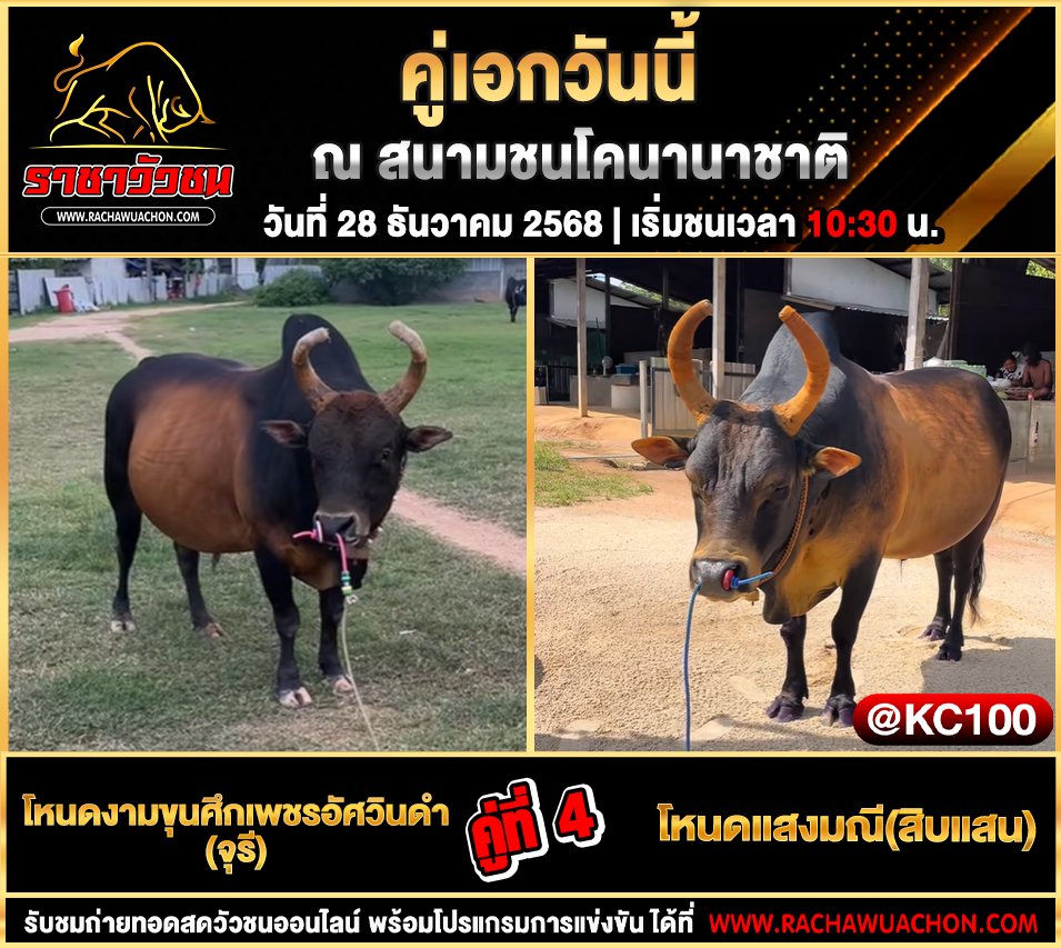 โปรแกรมวัวชนพรุ่งนี้ 28-12-2568