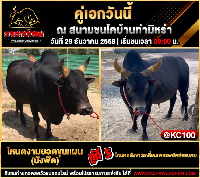โปรแกรมวัวชนพรุ่งนี้ 29-12-2568