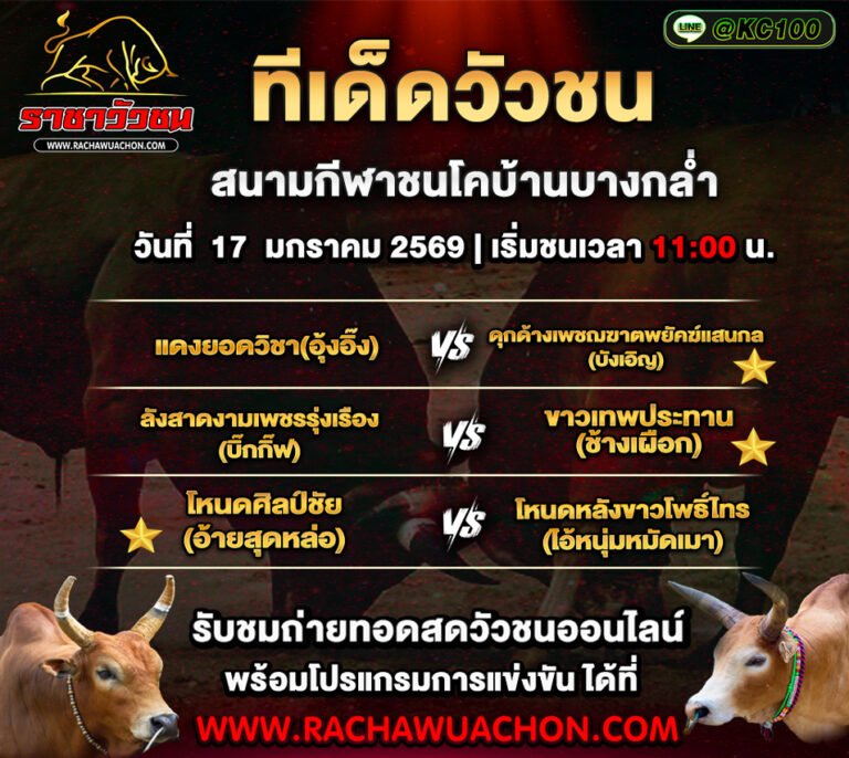 ทีเด็ดวัวชนวันนี้ 17-1-2569