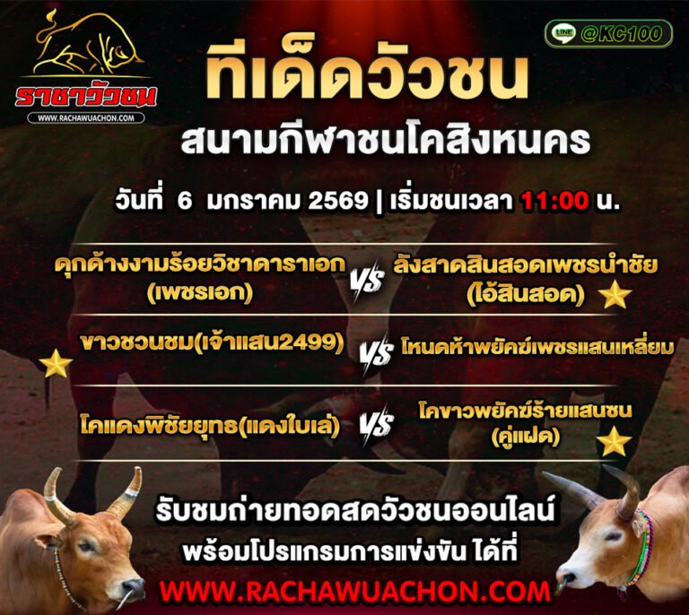 ทีเด็ดวัวชนวันนี้ 6-1-2569