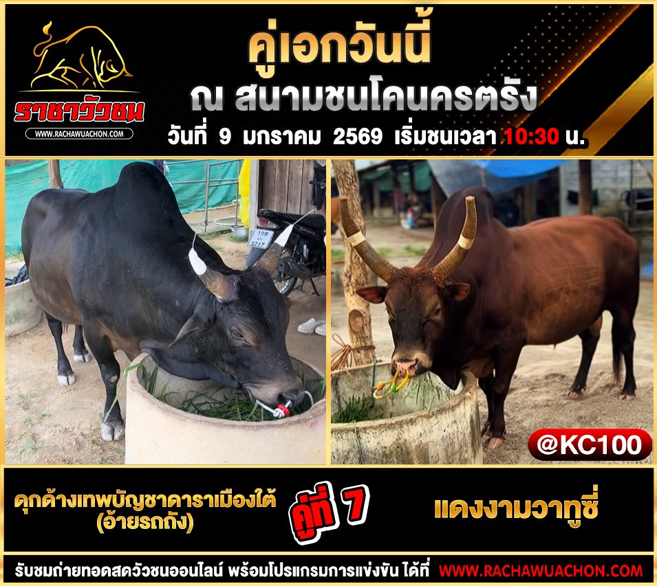 โปรแกรมวัวชนวันนี้ 9-1-2569