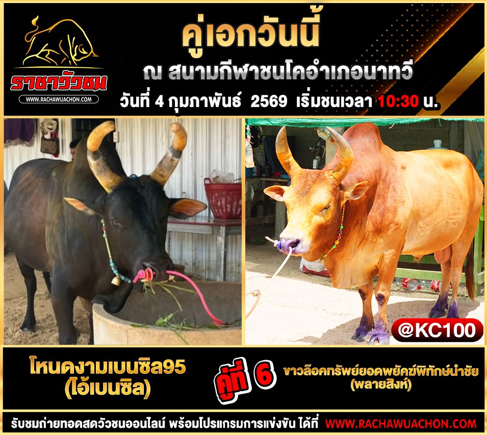 โปรแกรมวัวชนพรุ่งนี้ 4-2-2569
